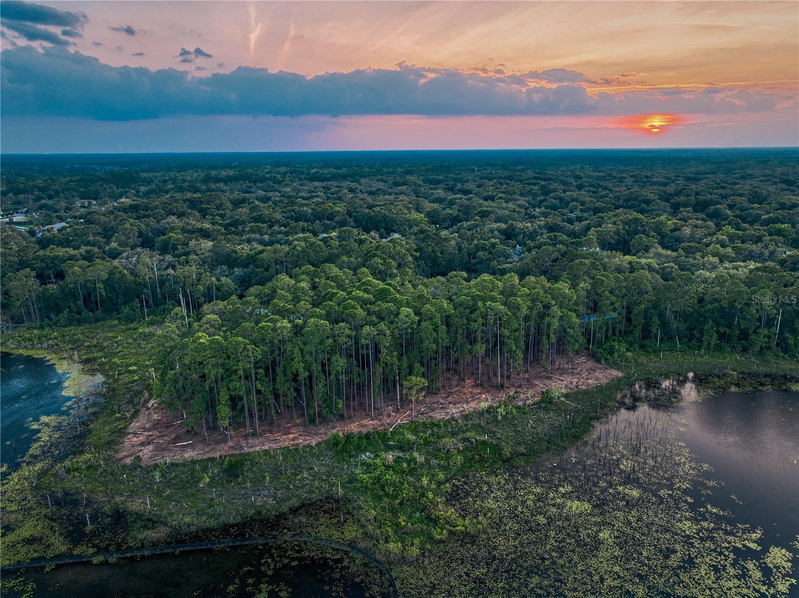 Photo of Listing #O6115397