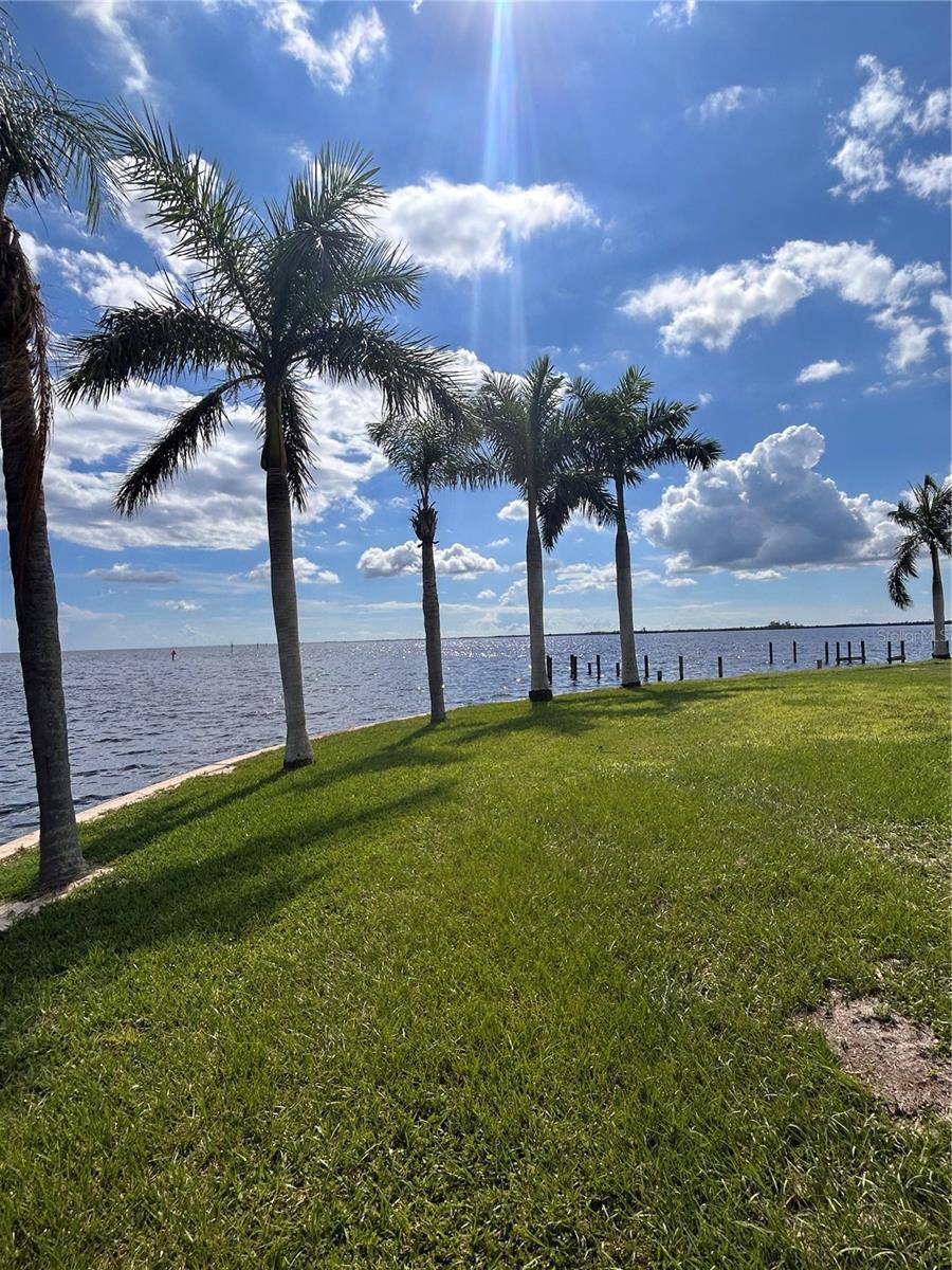 Photo of Listing #O6146270