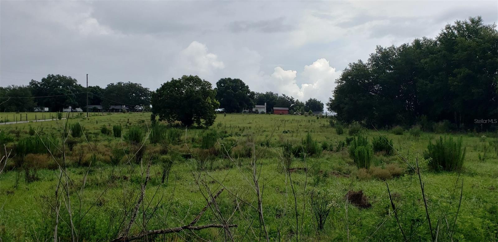 Photo of Listing #O6180204