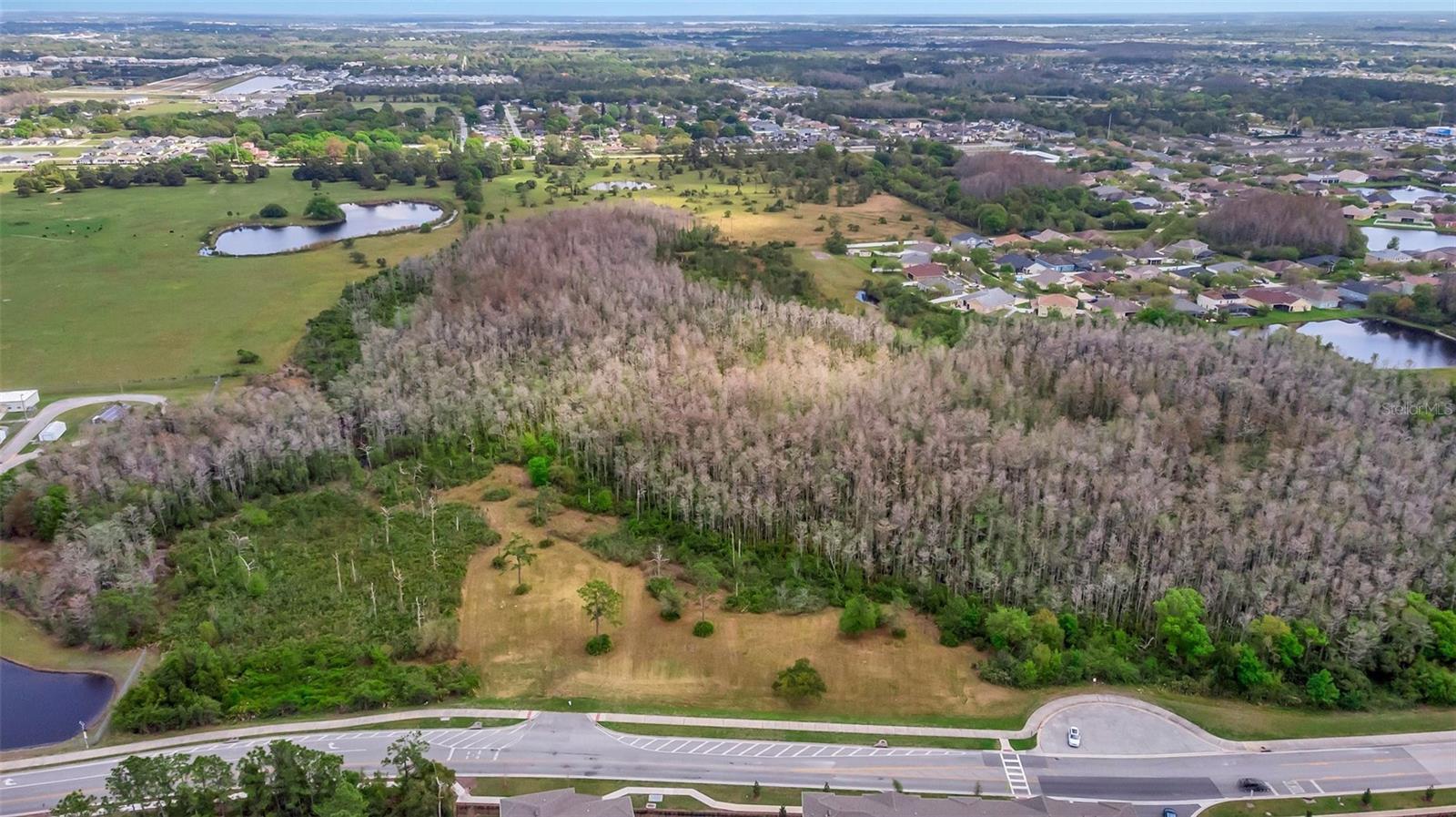 Photo of Listing #O6187328