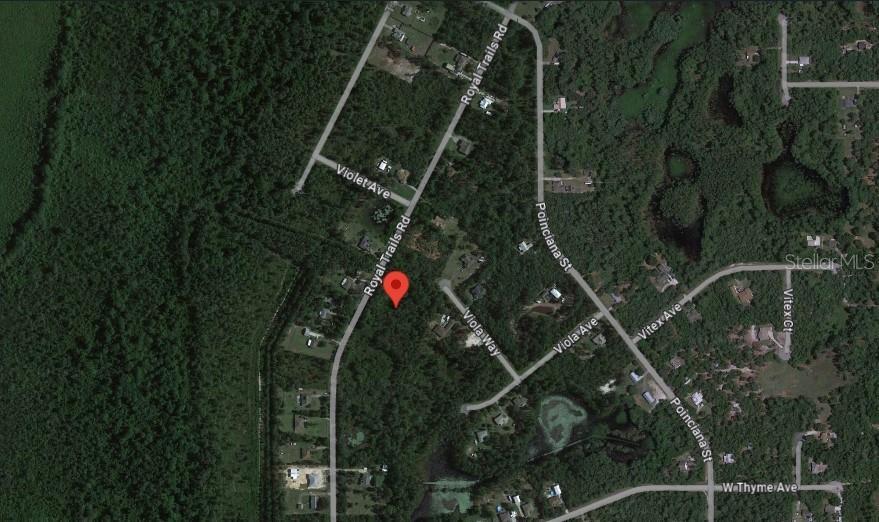 Royal Trails Road, EUSTIS FL EUSTIS Lots/Land Homes For Sale