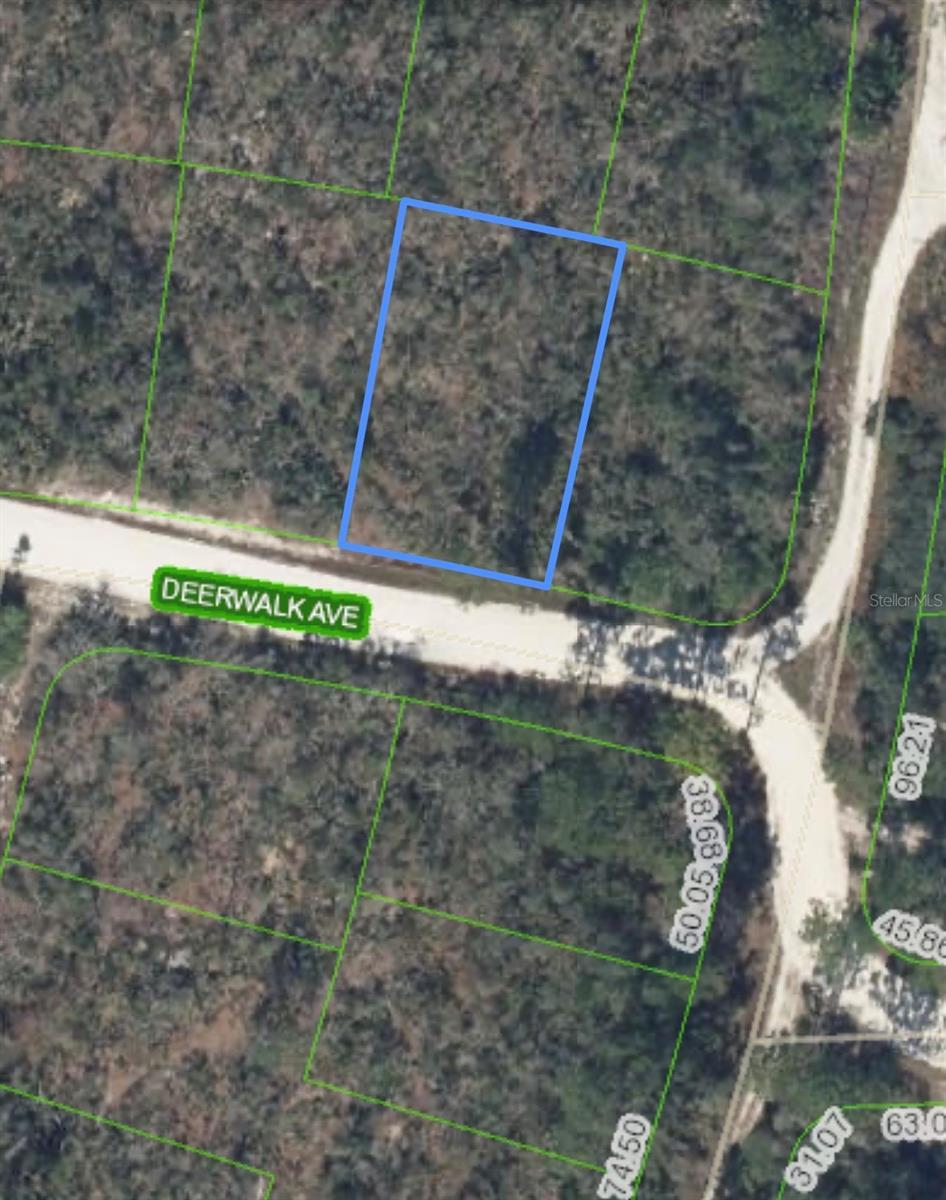 Photo of Listing #O6207617