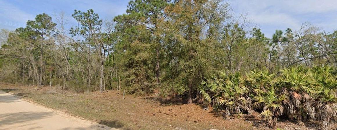 Photo of Listing #O6211994