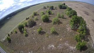 Photo of Listing #O6215686