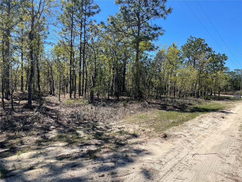 Ne 56th Street, BRONSON FL BRONSON Lots/Land Homes For Sale