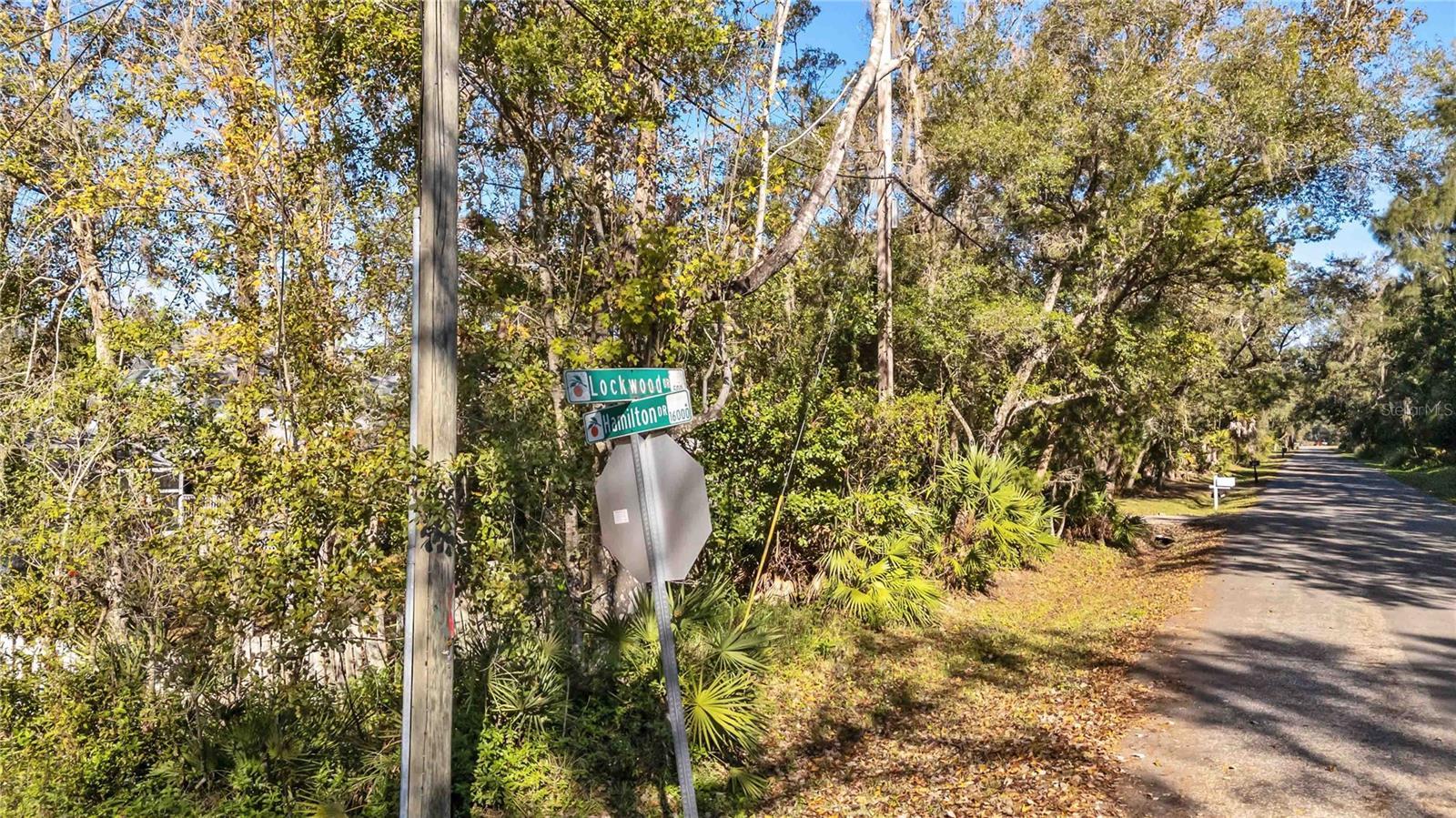 Photo of Listing #O6267220