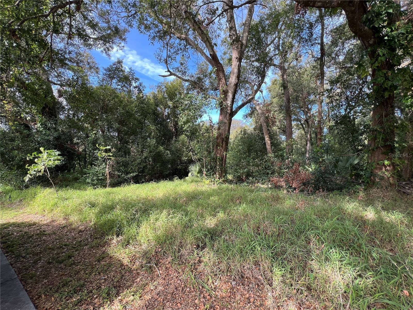 Photo of Listing #O6273195