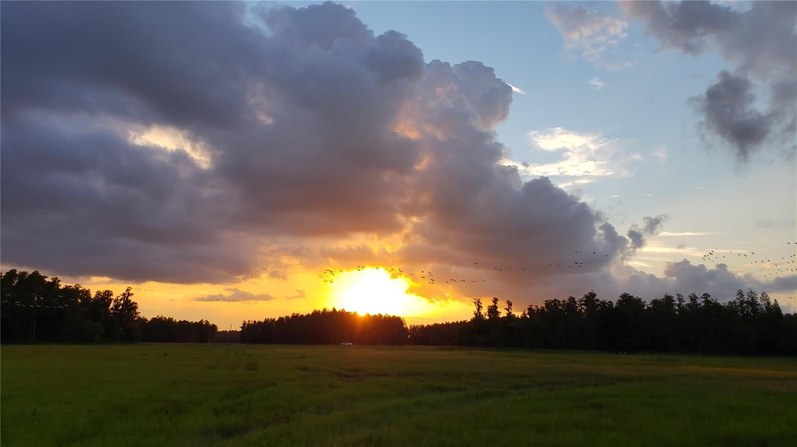 Photo of Listing #O6280819