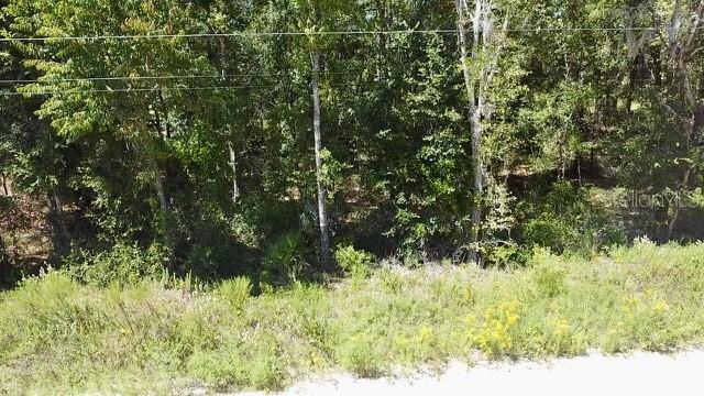 Photo of Listing #O6283507