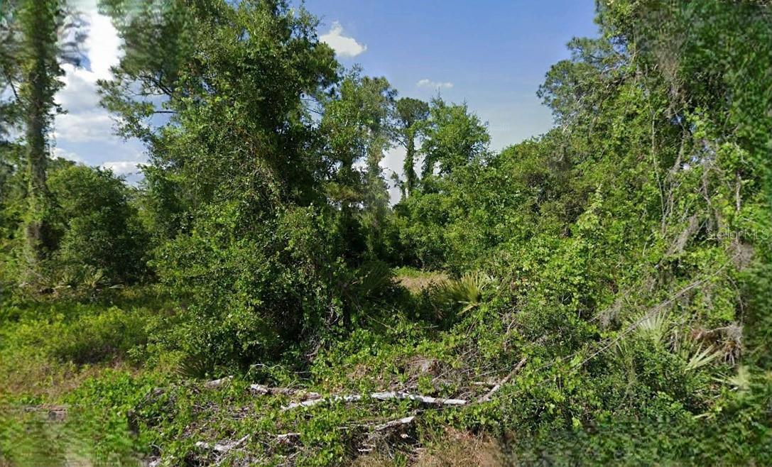 Photo of Listing #O6285209