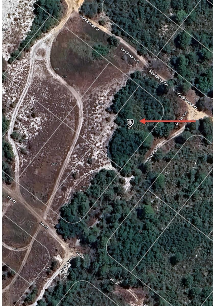 Photo of Listing #O6292819