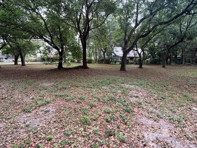 Photo of Listing #O6295589