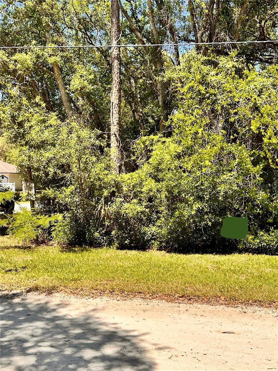 Photo of Listing #O6299359