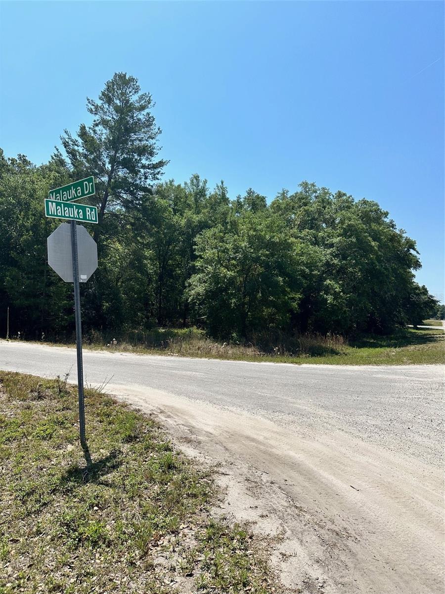 Photo of Listing #O6306514