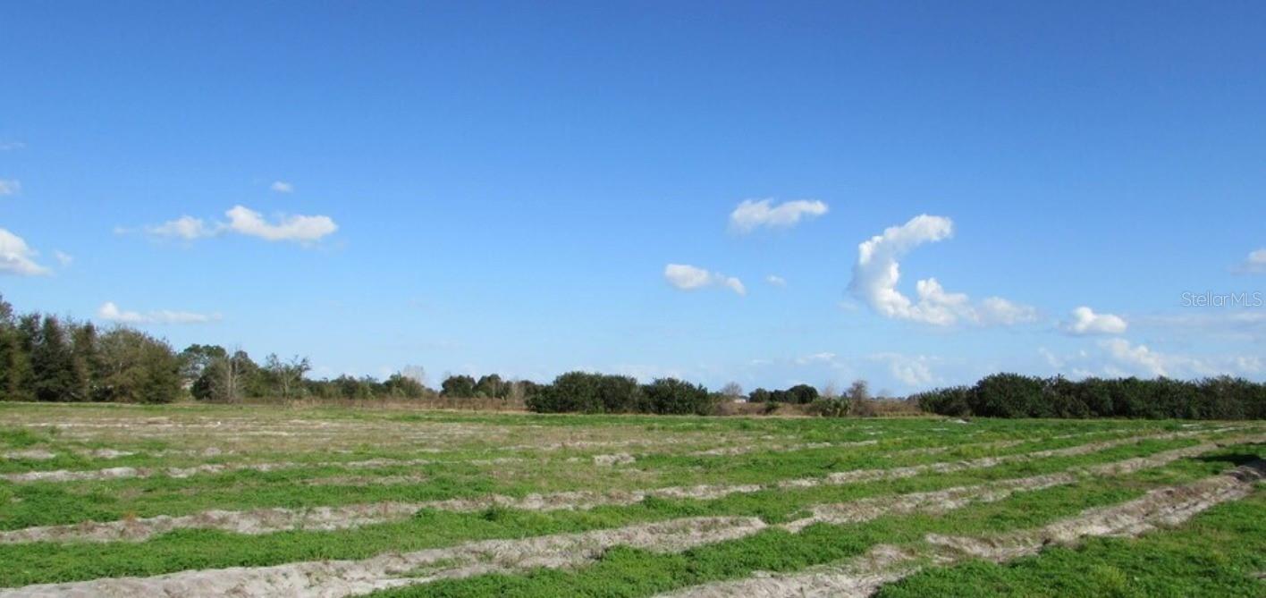 Photo of Listing #O6308613