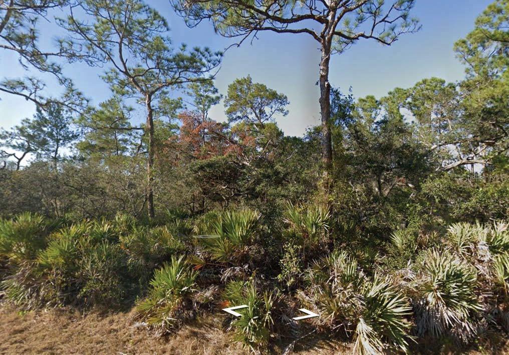 Photo of Listing #O6308980