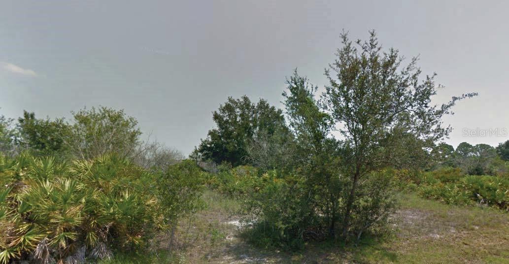 Photo of Listing #O6311223