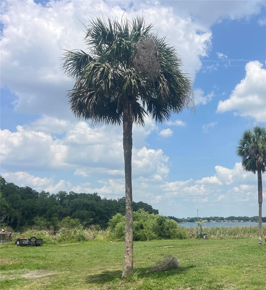 1231 43rd Street, ORLANDO