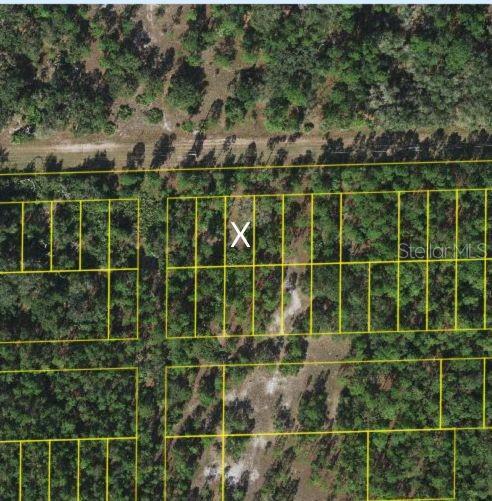 Photo of Listing #O6313683