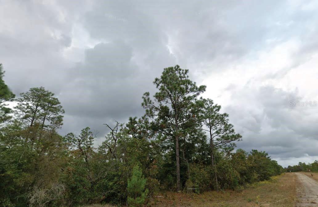 Photo of Listing #O6320035