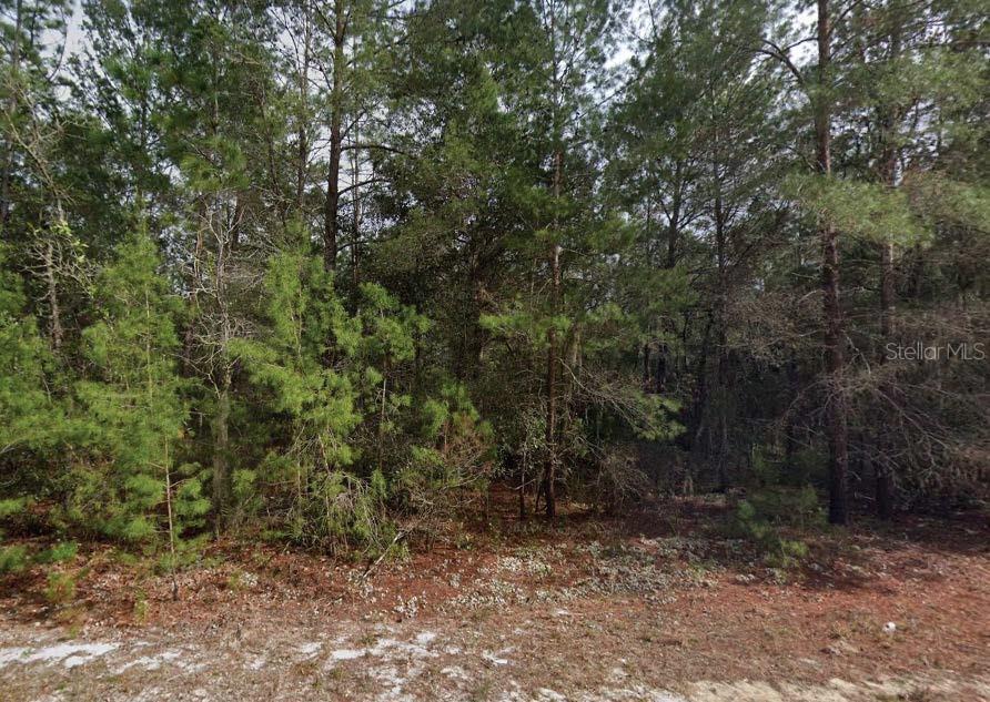 Photo of Listing #O6321334