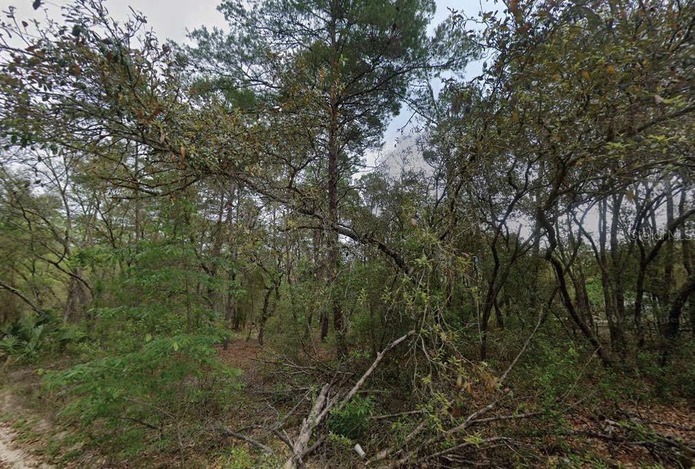 Photo of Listing #O6321564