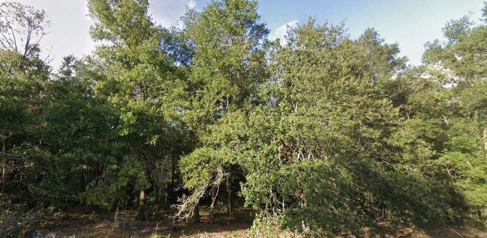 Photo of Listing #O6321588