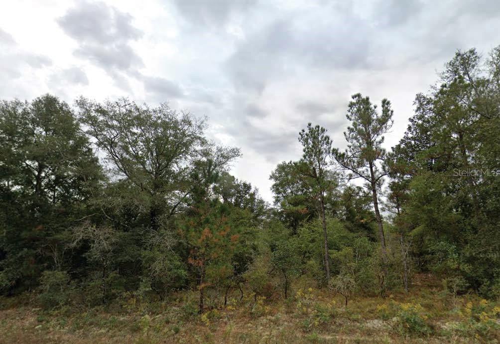 Photo of Listing #O6325972