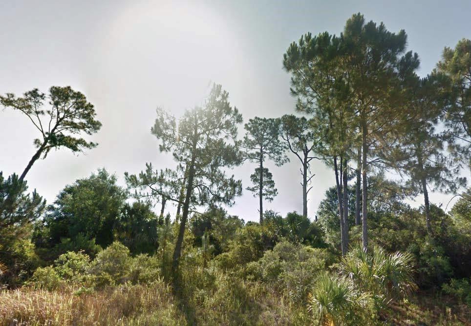 Photo of Listing #O6326302