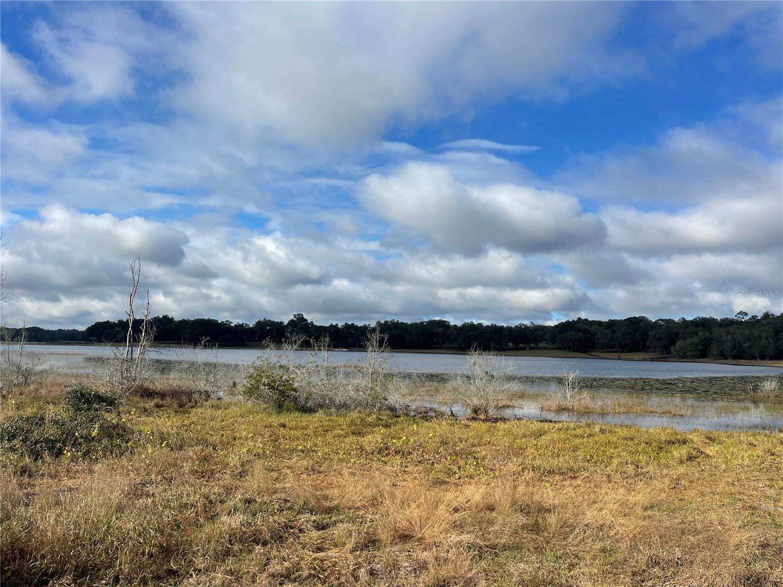 Photo of Listing #O6329024