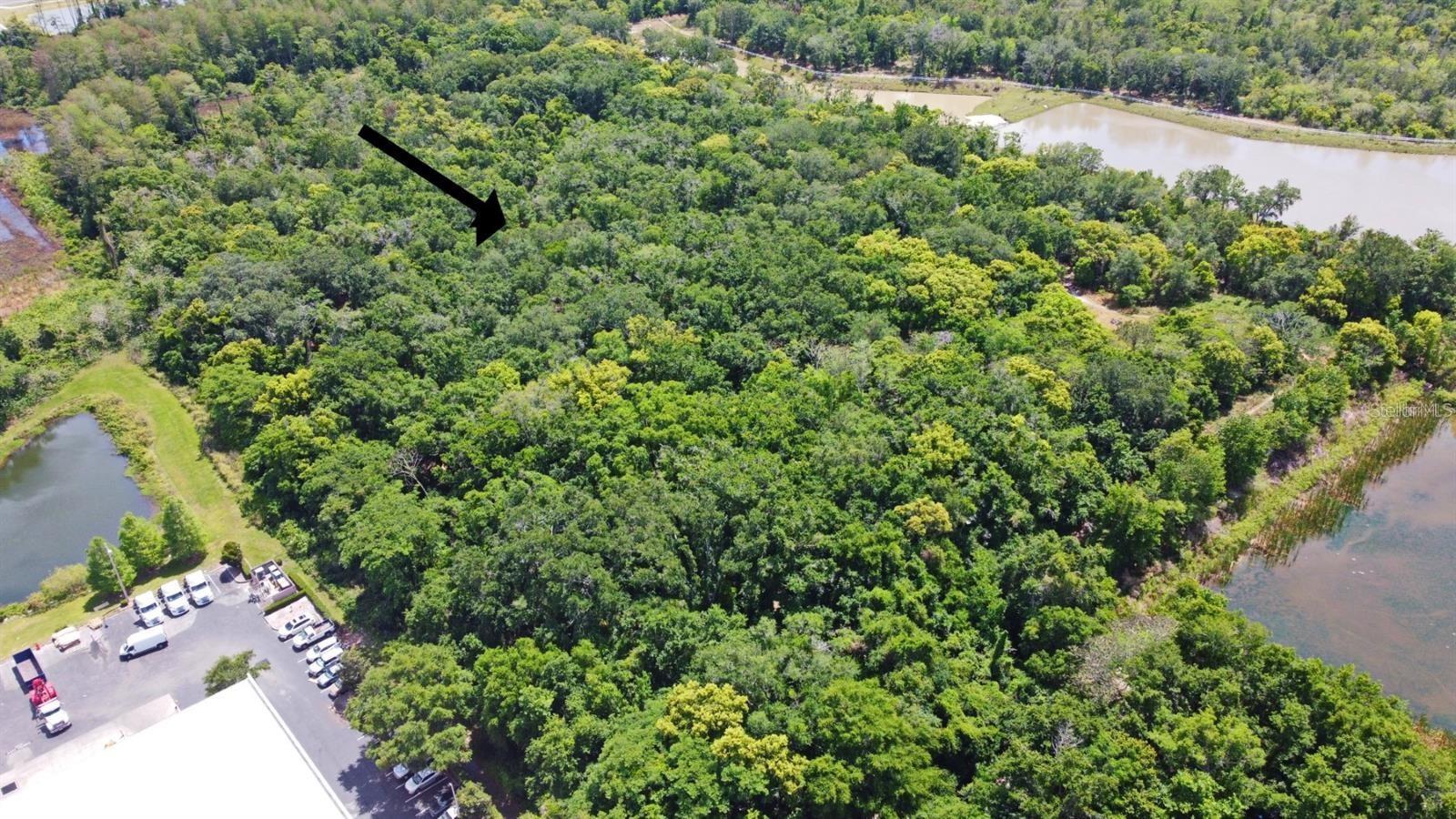 Photo of Listing #O6332639