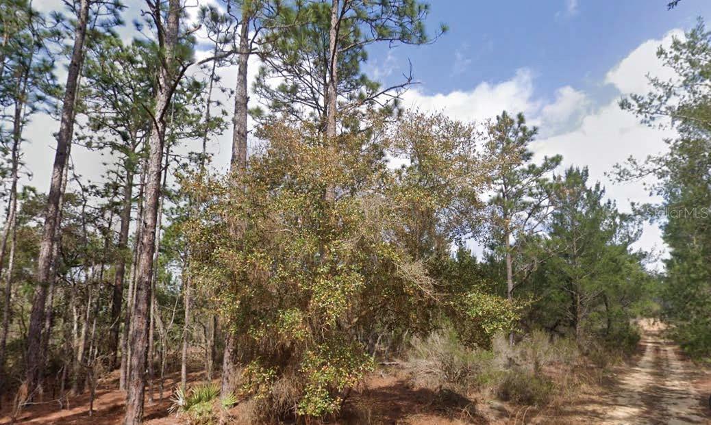 Photo of Listing #O6341597