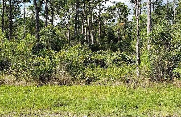 Photo of Listing #O6343038