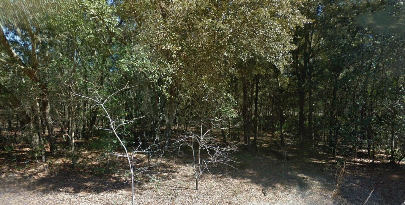 Photo of Listing #O6352150