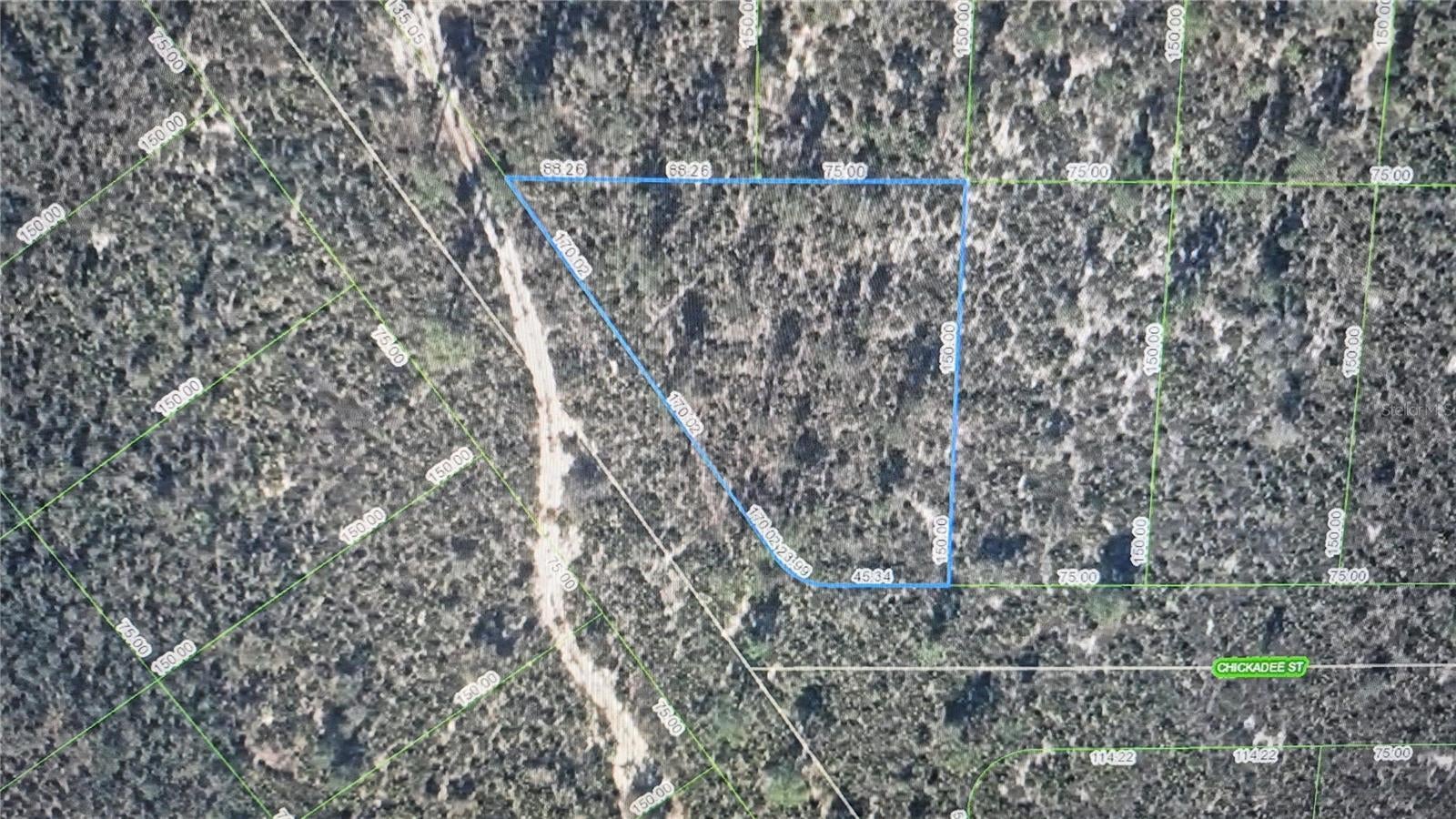 Photo of Listing #O6354886