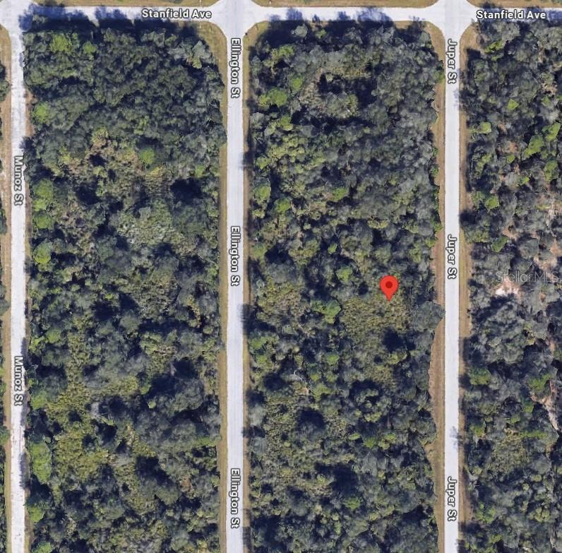 Photo of Listing #O6356571