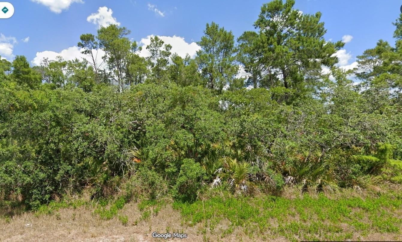 Photo of Listing #O6357040