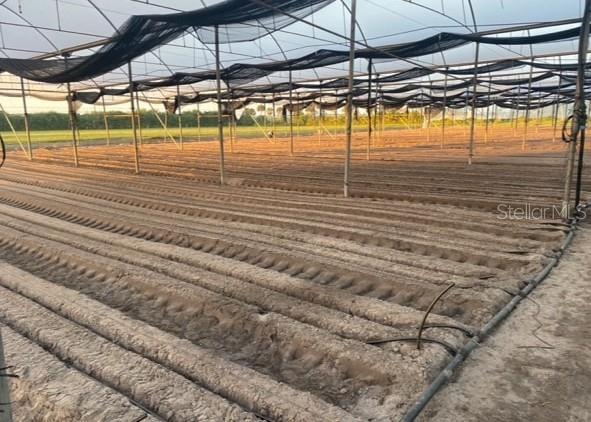 Photo of Listing #O6359033