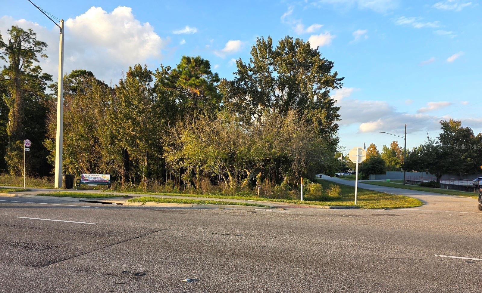 Photo of Listing #O6359086