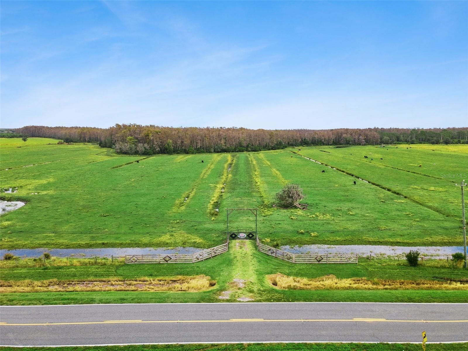 Photo of Listing #O6371551