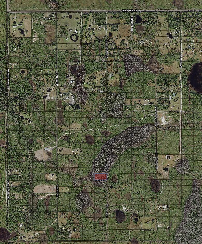 Photo of Listing #O6371789