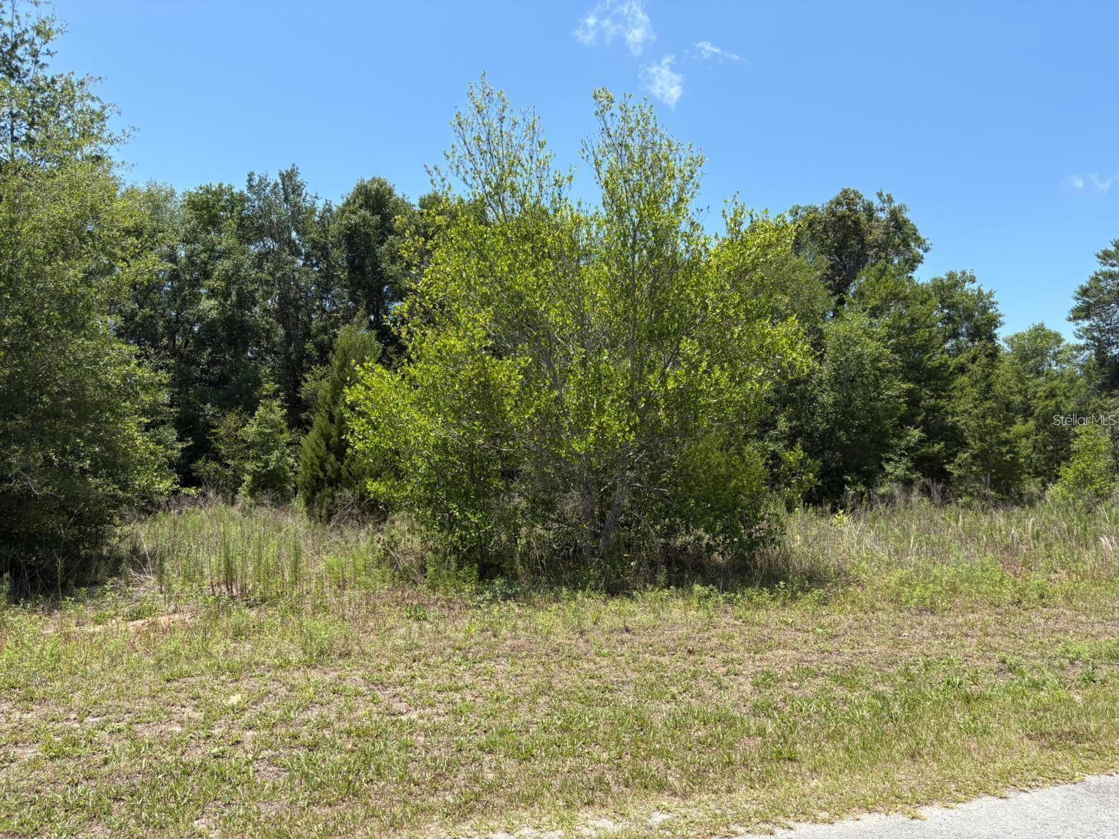 Photo of Listing #O6373172