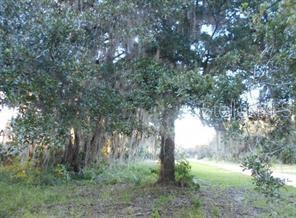 Photo of Listing #O6377074