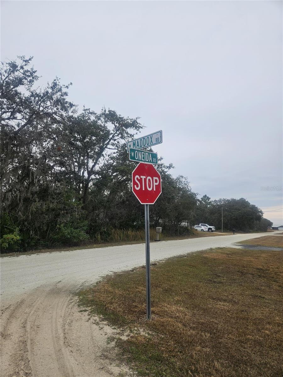 Photo of Listing #O6378872