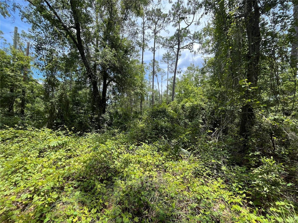 332 Ward Avenue, CRESCENT CITY FL CRESCENT CITY Lots/Land Homes For Sale