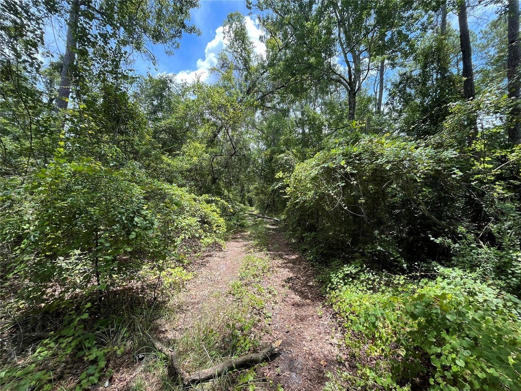 332 Ward Avenue, CRESCENT CITY FL CRESCENT CITY Lots/Land Homes For Sale