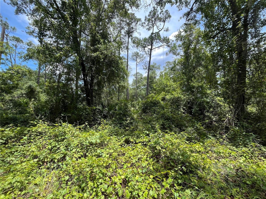 332 Ward Avenue, CRESCENT CITY FL CRESCENT CITY Lots/Land Homes For Sale