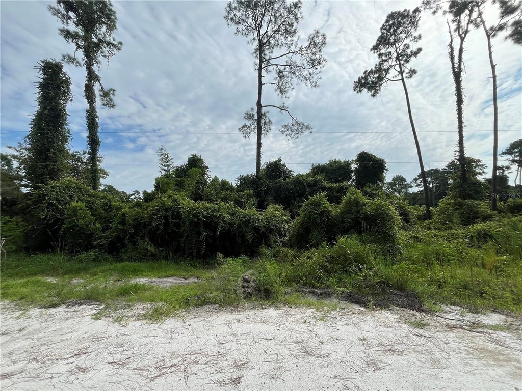 102 Moon Lake Drive, CRESCENT CITY FL CRESCENT CITY Lots/Land Homes For Sale
