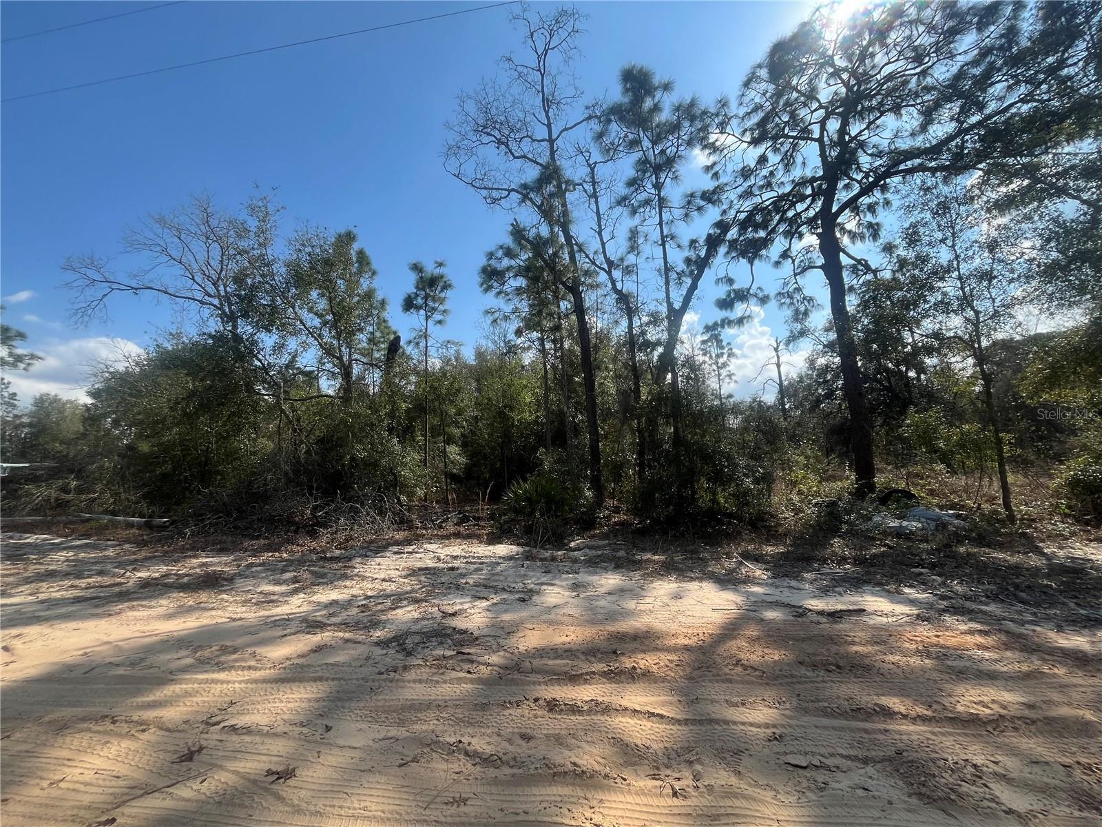 Photo of Listing #OK224389