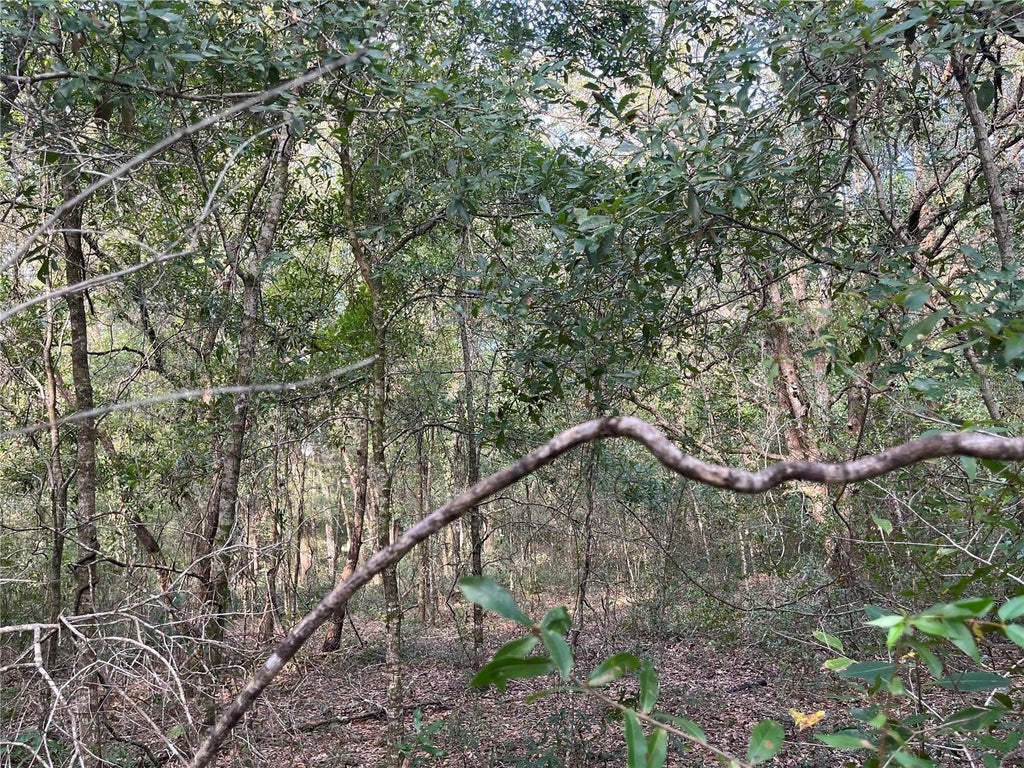 Sw 132nd Avenue, DUNNELLON FL DUNNELLON Lots/Land Homes For Sale